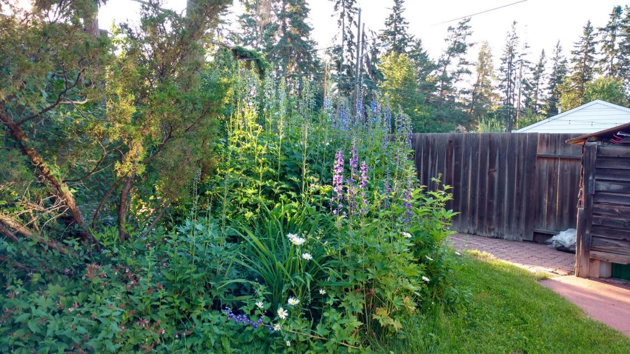 U Of A Homestay, Trails & Whyte Ave Edmonton Kültér fotó